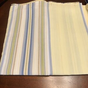 Striped shower Curtain Panel